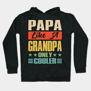 Papa Like A Grandpa Only Cooler Funny Dad Papa Definition Hoodie